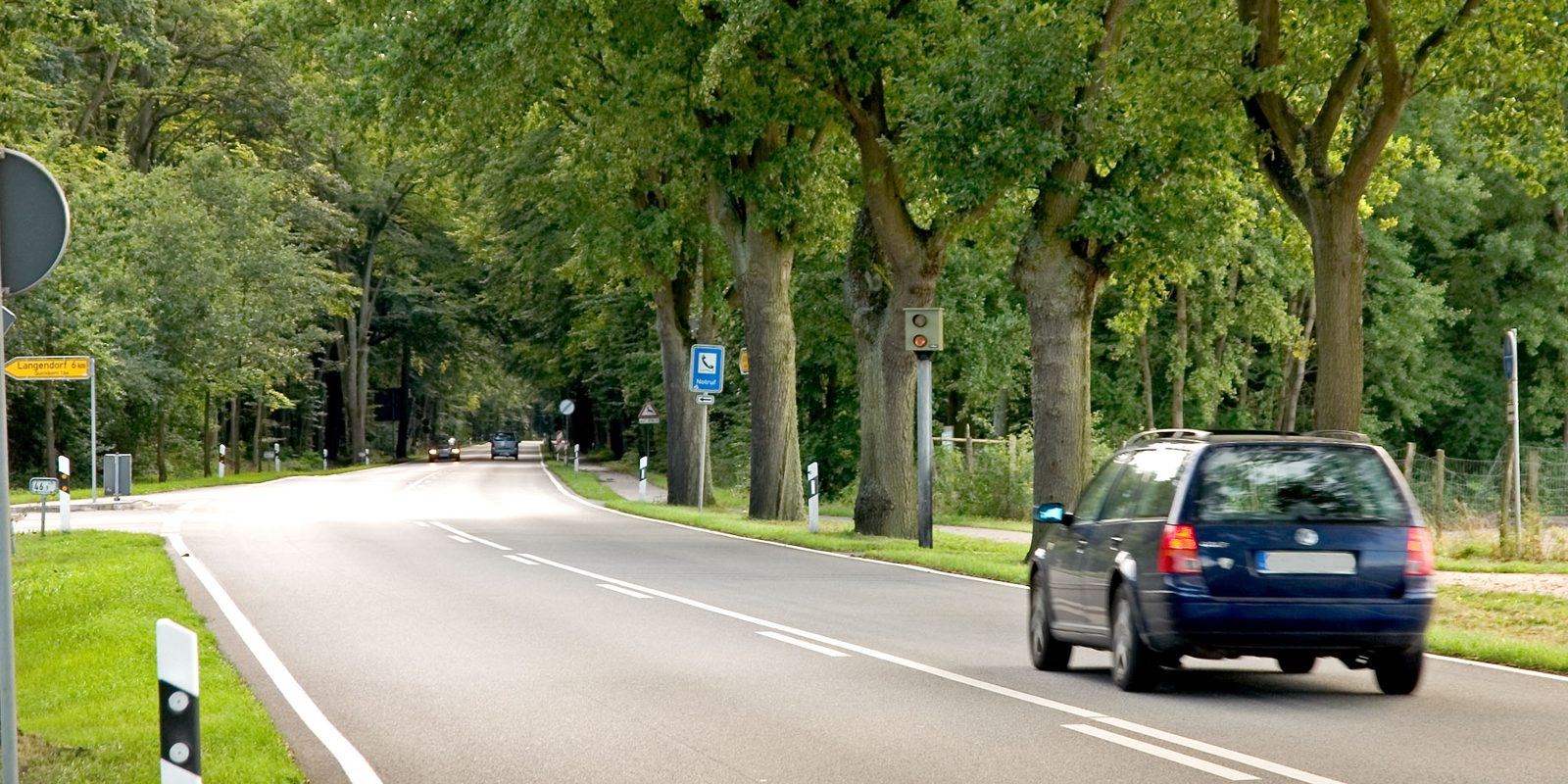 A car on a rural road lined with trees
